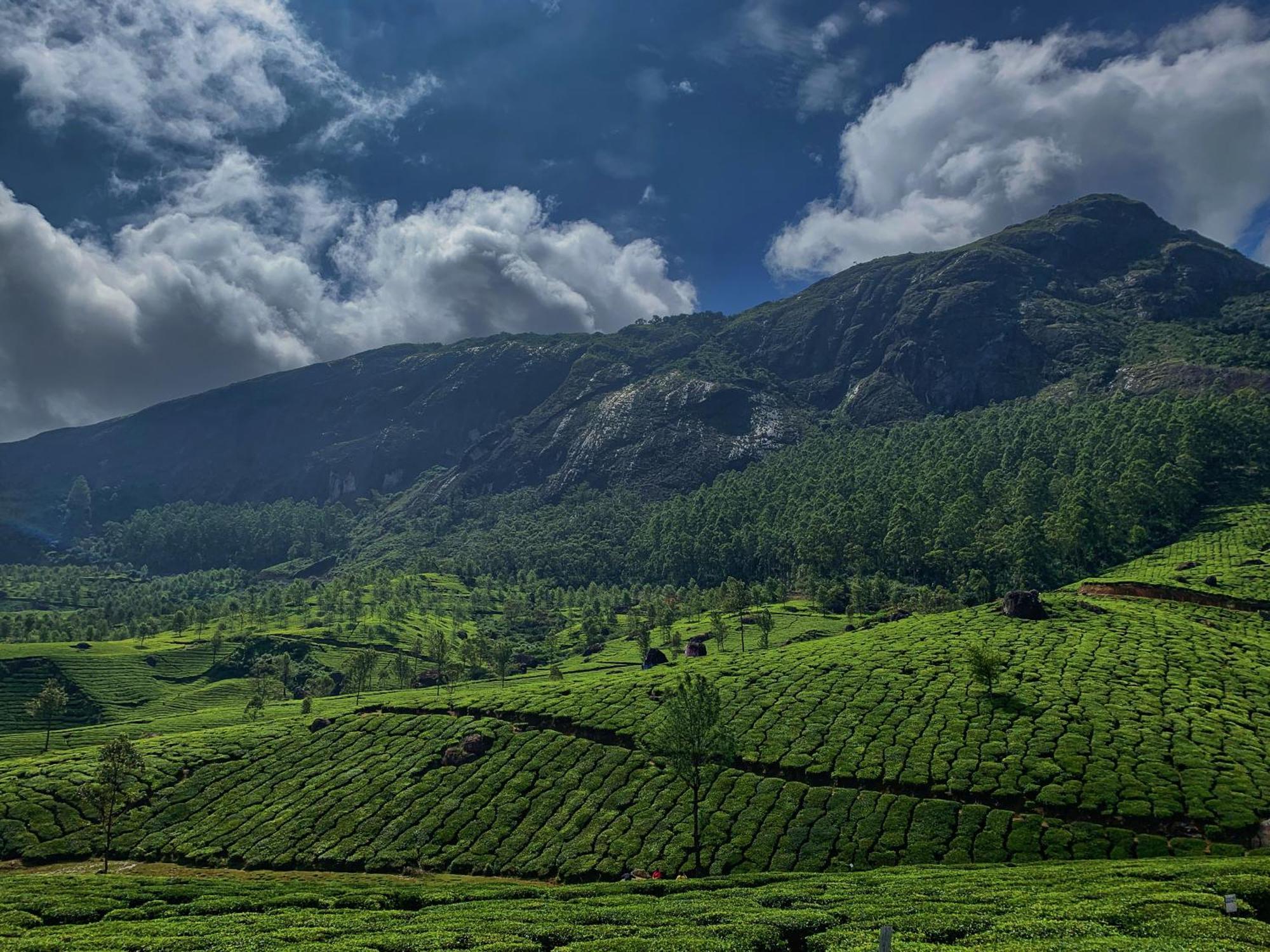 Lockhart Bungalow Munnar - A Cgh Earth Saha Experience Exterior photo