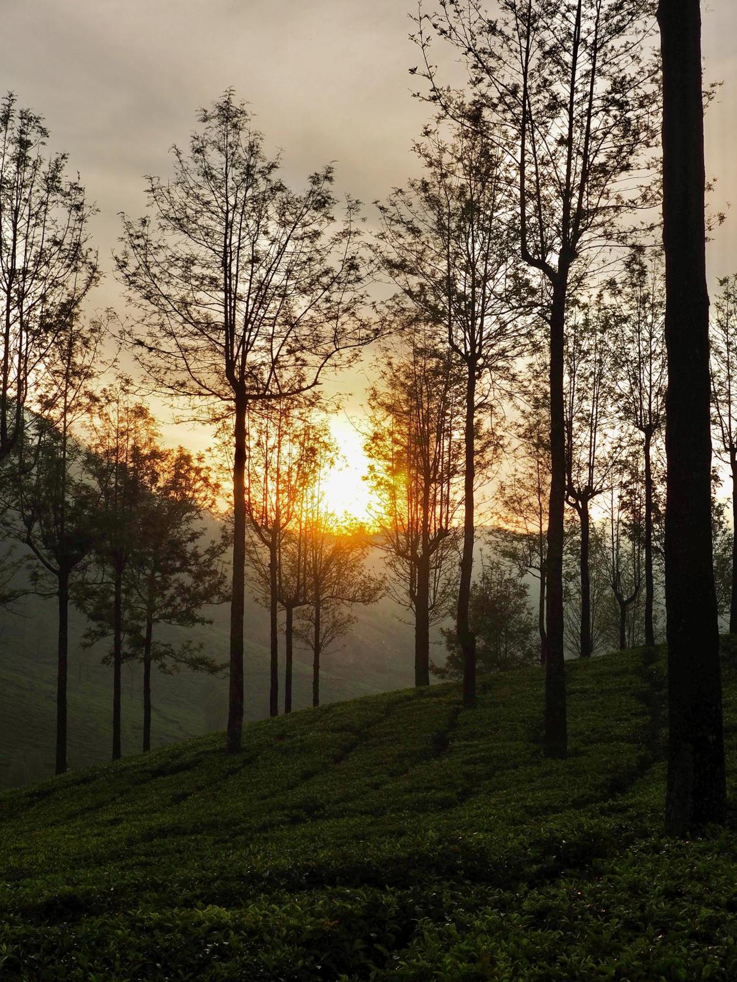 Lockhart Bungalow Munnar - A Cgh Earth Saha Experience Exterior photo